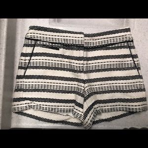 Ann Taylor Loft Shorts